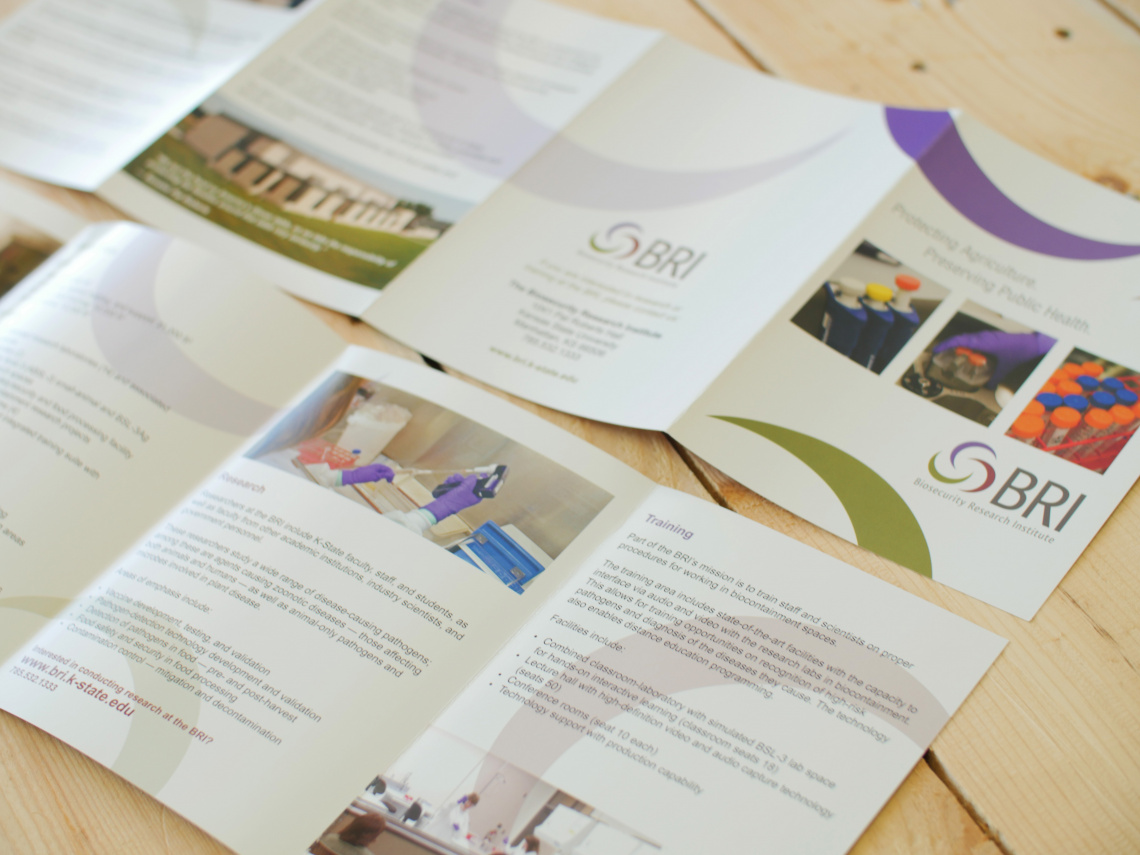BRI Marketing Portfolio 2