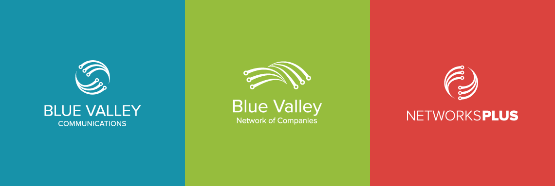 Blue Valley Marketing Portfolio