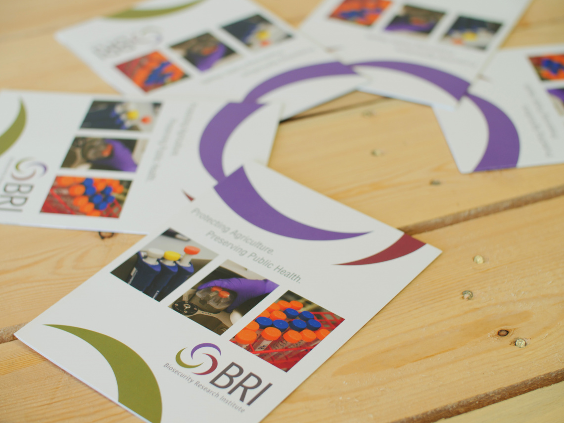 BRI Marketing Portfolio 1