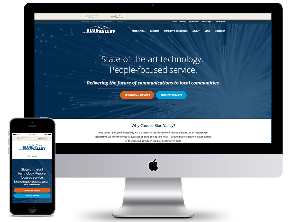 Blue Valley Marketing Portfolio