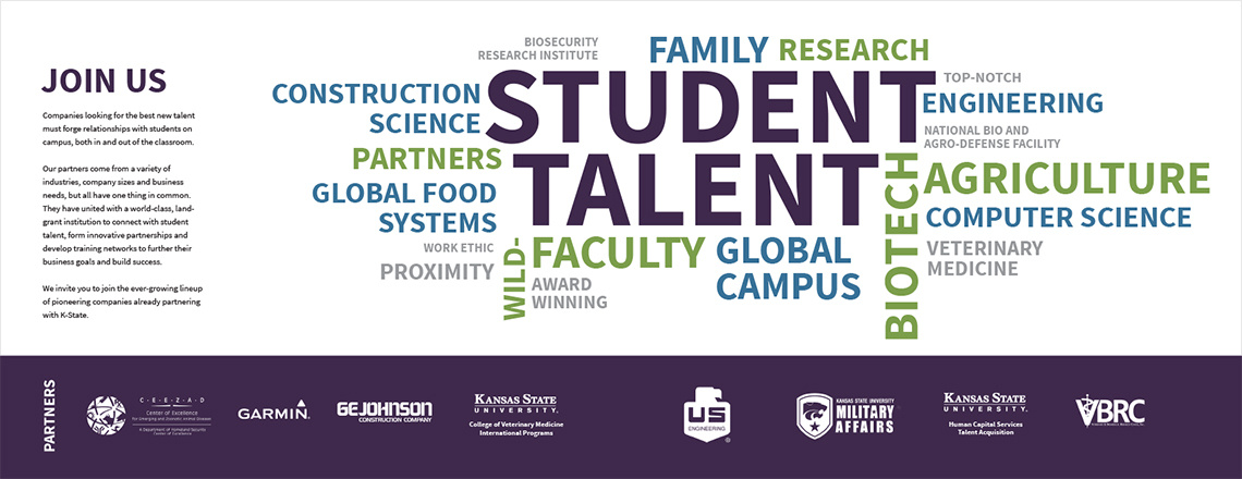 KSU Foundation Marketing Portfolio